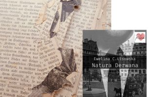 Natura Derwana - fragment