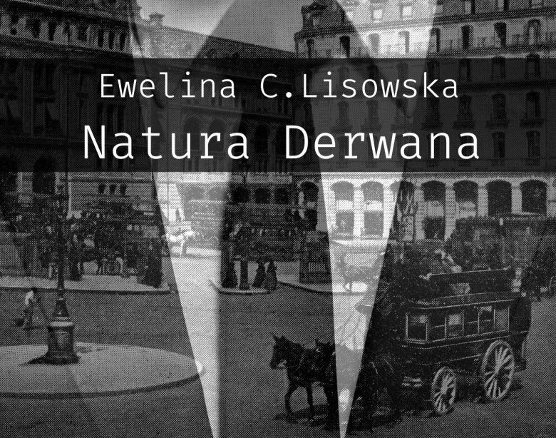 Natura Derwana Ewelina C.Lisowska