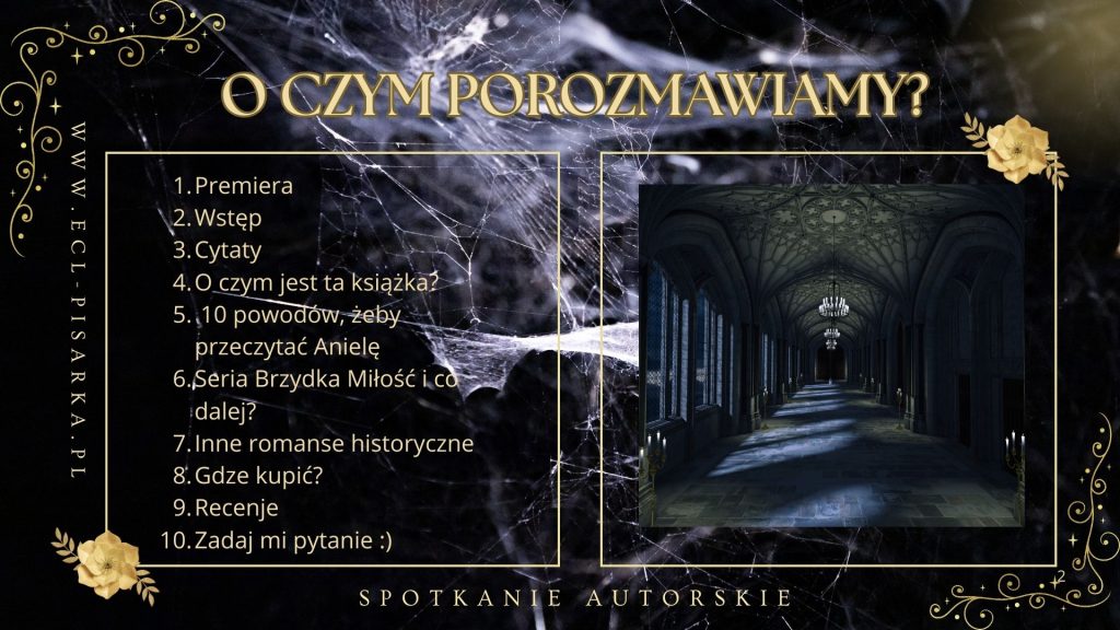 jak wygląda spotkanie autorskie online z autorką romansów